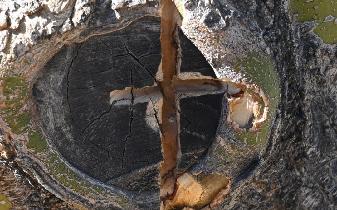 Understanding Crucifixion in a Time of Oppression