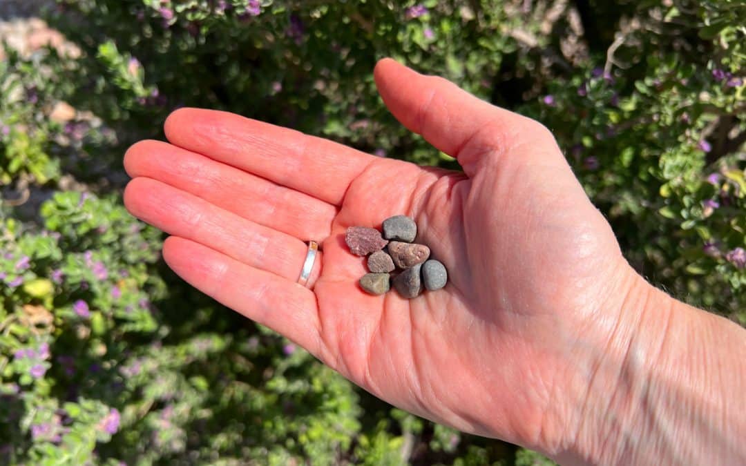 Choosing Pebbles